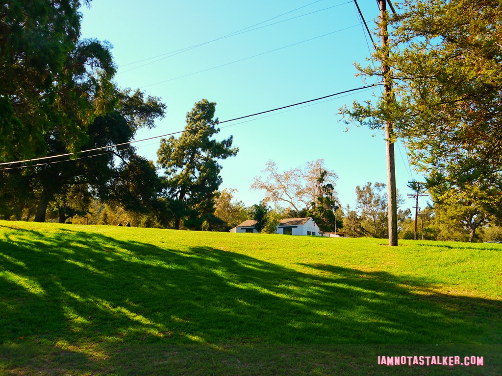 Griffith Park Full House (3 of 18)