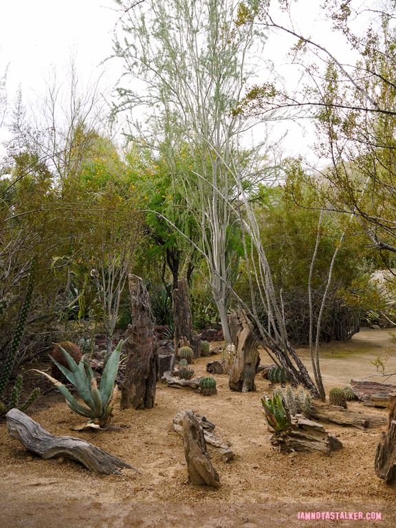 Moorten Botanical Garden from Rescue 911-1130184