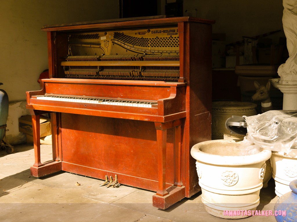 Rockhaven Sanitarium (107 of 115)