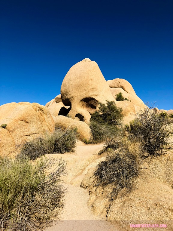Skull Rock (1 of 1)