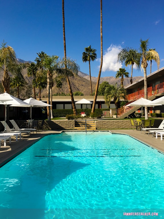 Skylark Hotel from Palm Swings-6521