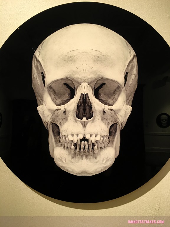 The Mutter Museum-5756