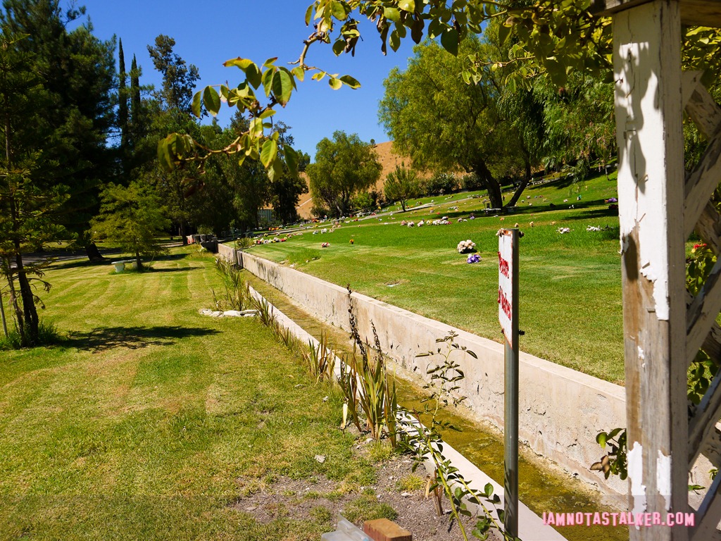 Los Angeles Pet Memorial Park (16 of 33)