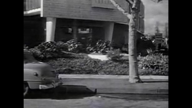 ScreenCap019