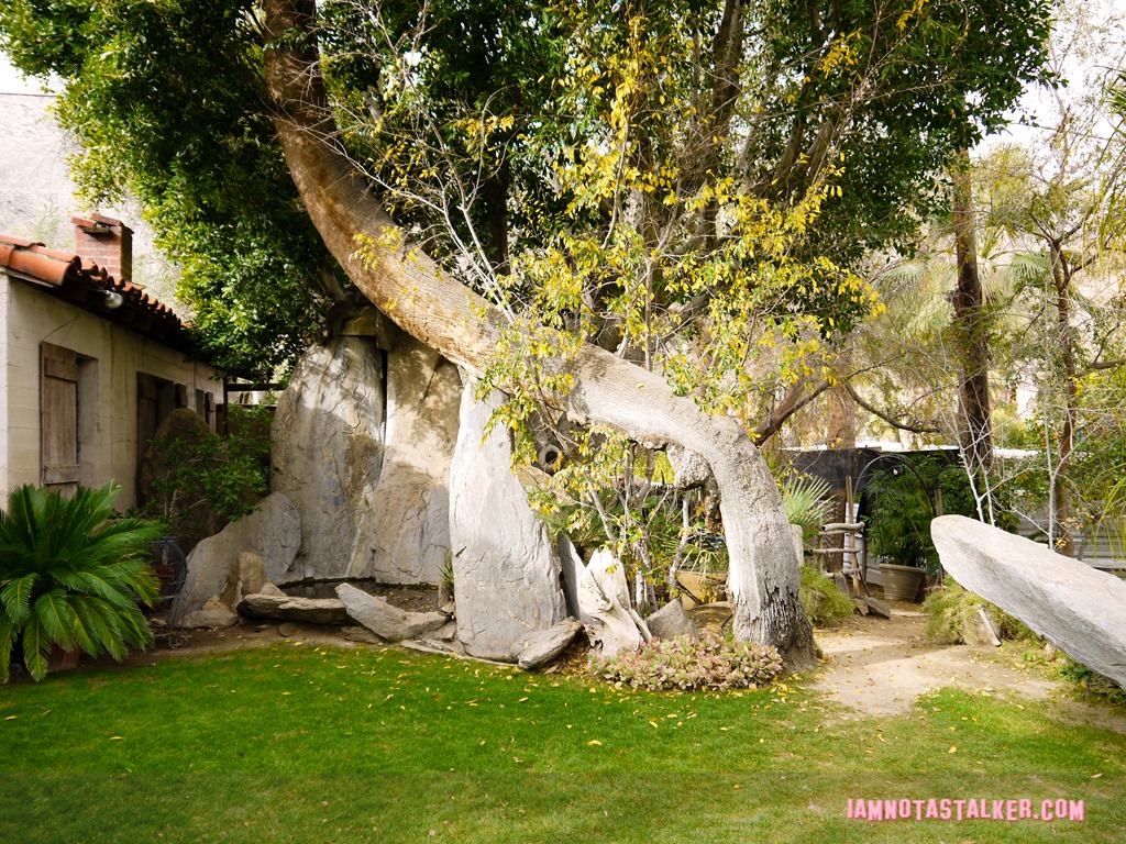 Moorten Botanical Garden from Rescue 911-1130144