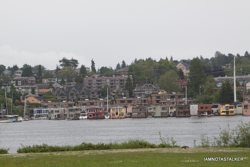 Gas-Works-Park-Seattle-36