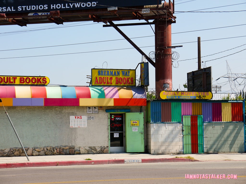 Behind the Candelabra Adult Bookstore (10 of 17)