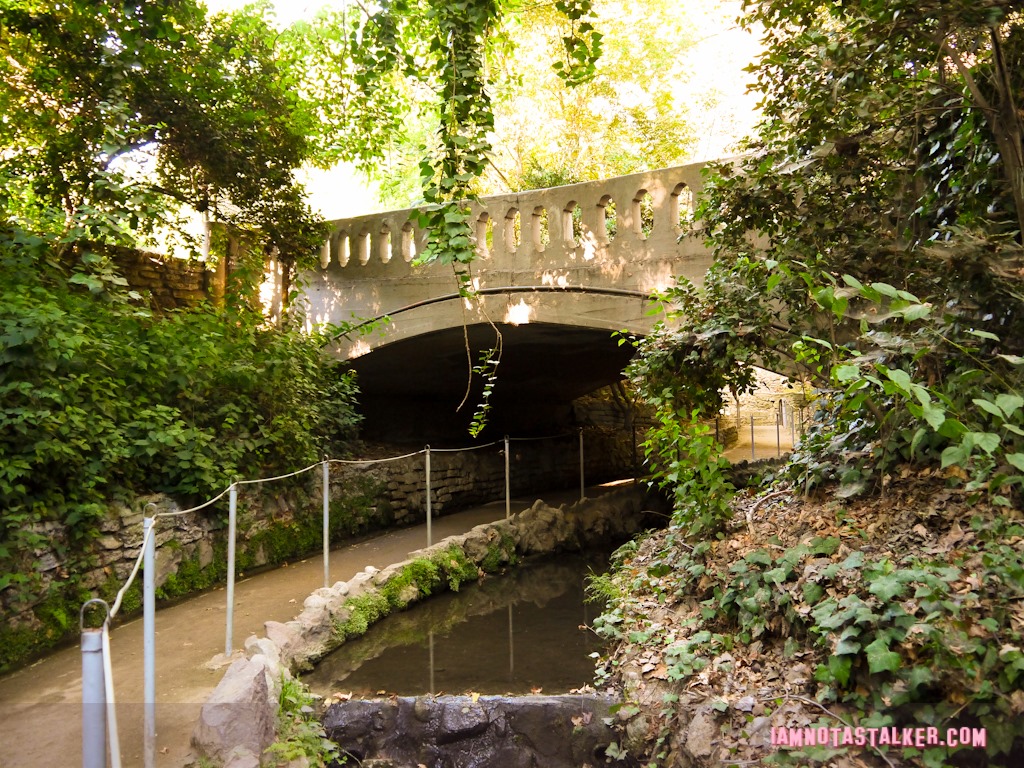 Fern Dell (31 of 32)