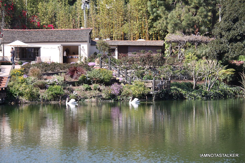 Lake-Shrine-Self-Realization-Fellowship-15