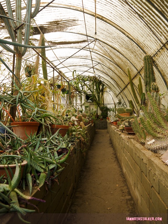 Moorten Botanical Garden from Rescue 911-1130155