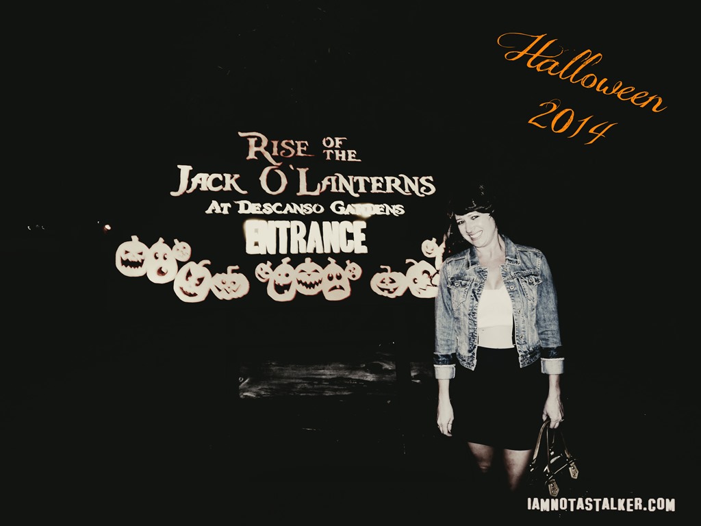 RISE of the Jack O'Lanters 2014 (8 of 71)