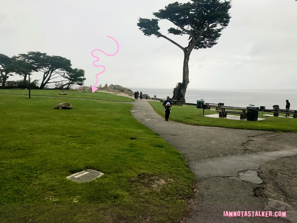 Blissful Drip Cafe from Big Little Lies (6 of 9)