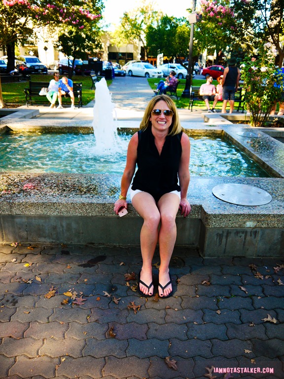 Healdsburg Town Plaza from Scream (1 of 1)