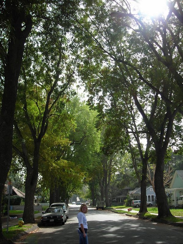 dscn0196.jpg