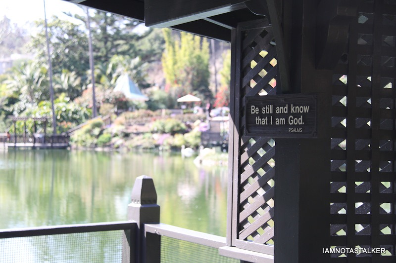Lake-Shrine-Self-Realization-Fellowship-29