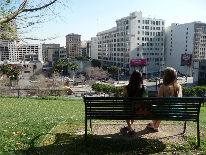 500 Days Bench