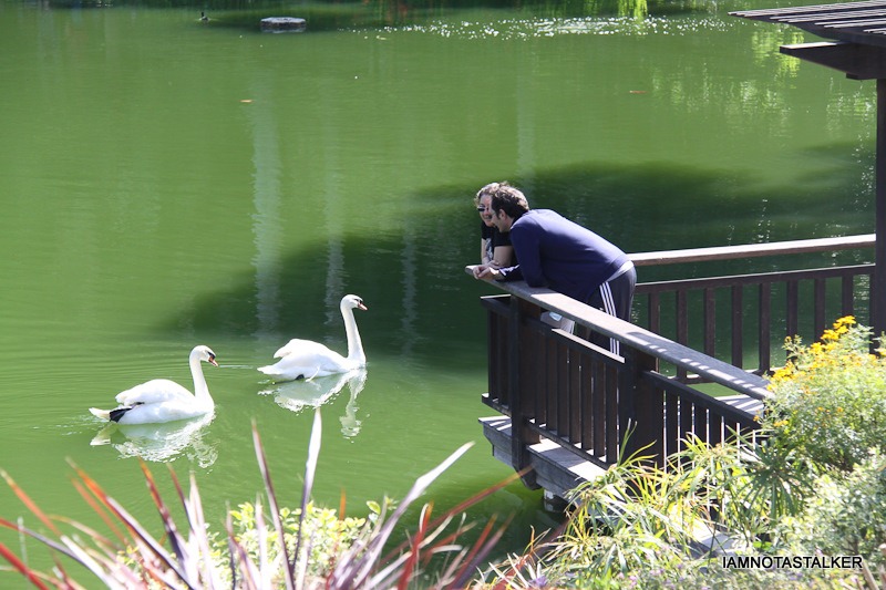 Lake-Shrine-Self-Realization-Fellowship-51