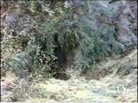 screenshot1140
