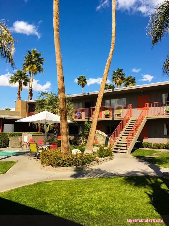 Skylark Hotel from Palm Swings-6529