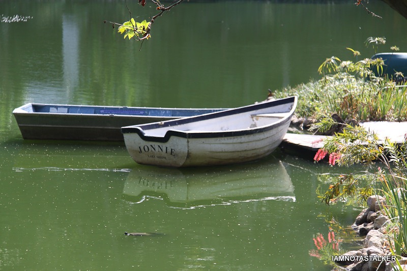 Lake-Shrine-Self-Realization-Fellowship-40