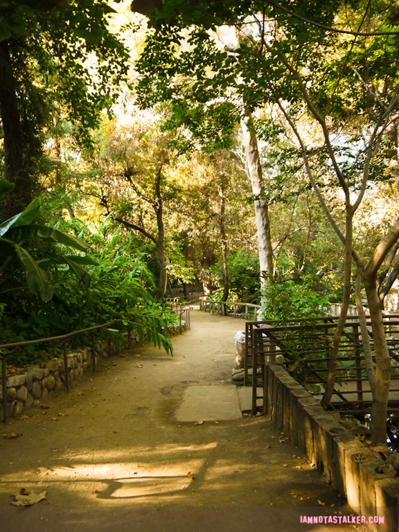 Fern Dell (3 of 32)