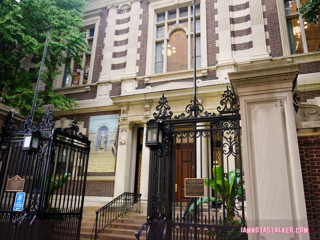 The Mutter Museum-1180354