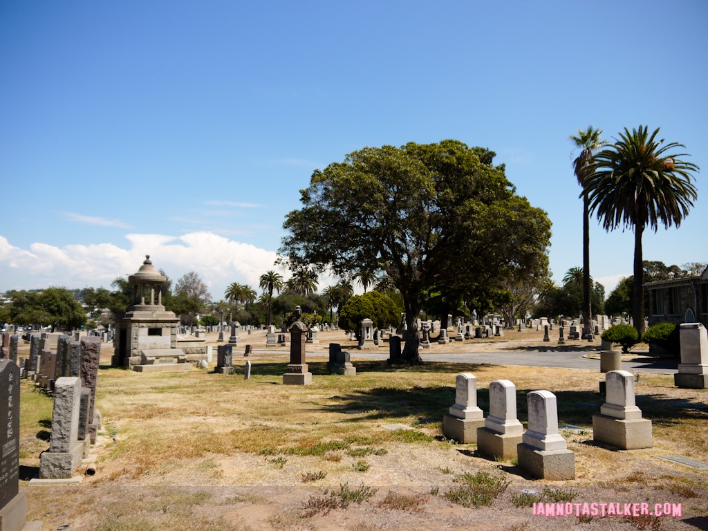 A Nightmare On Elm Street Cemetery (28 of 48)