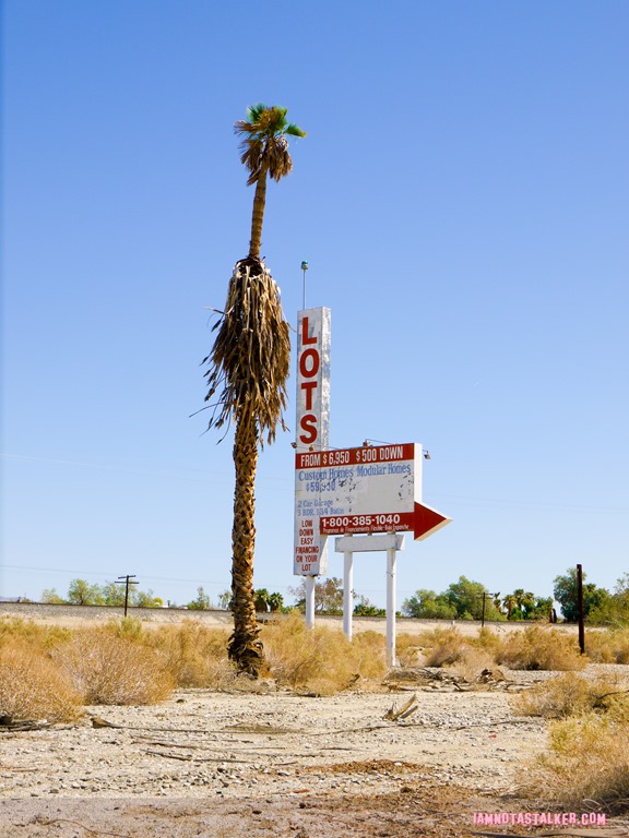Salton Sea (1 of 1)