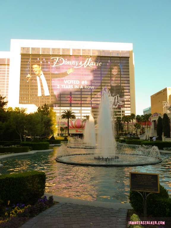 Caesar's Palace The Hangover (25 of 33)