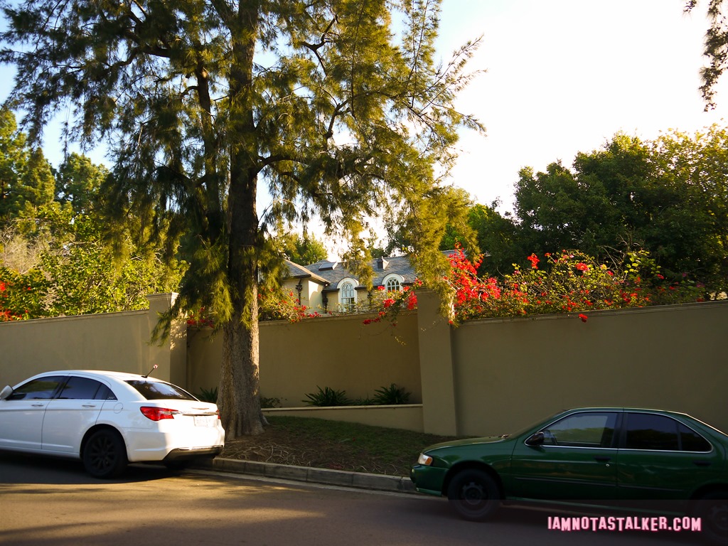 License to Drive Party House (5 of 12)