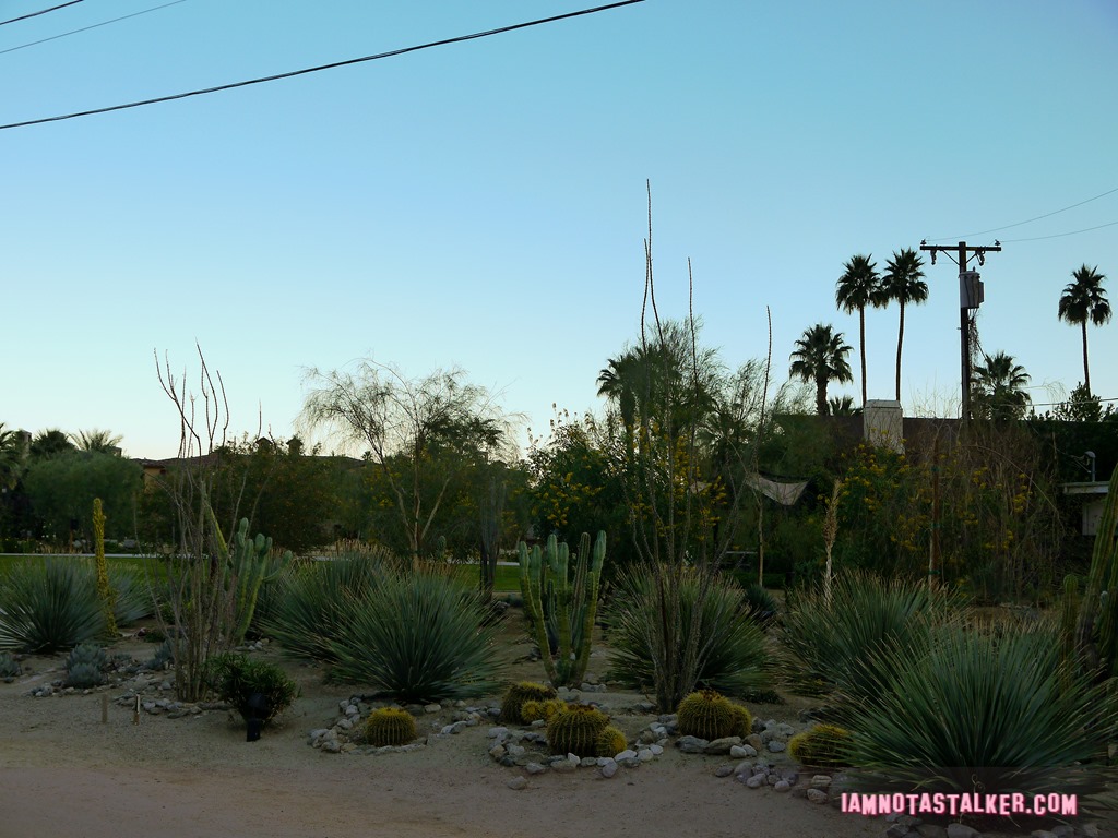 Colony 29 Real Housewives (18 of 22)