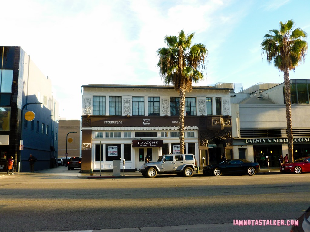 Get Shorty Miami Restaurant (3 of 10)