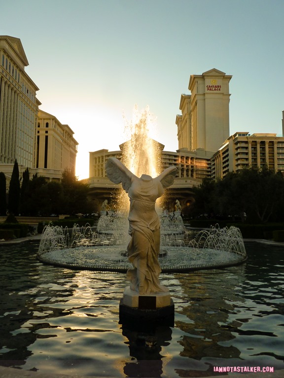 Caesar's Palace The Hangover (32 of 33)