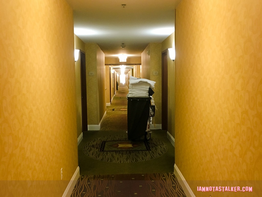 Hilton Garden Inn from Veep-3738