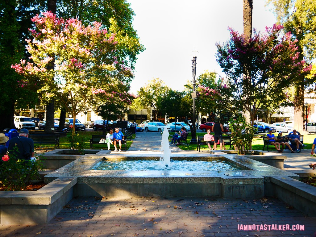 Healdsburg Town Plaza from Scream (10 of 20)