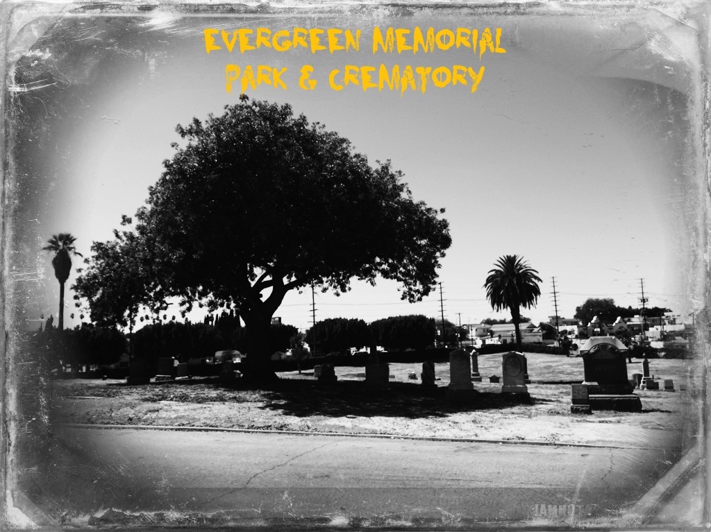 A Nightmare On Elm Street Cemetery (13 of 48)