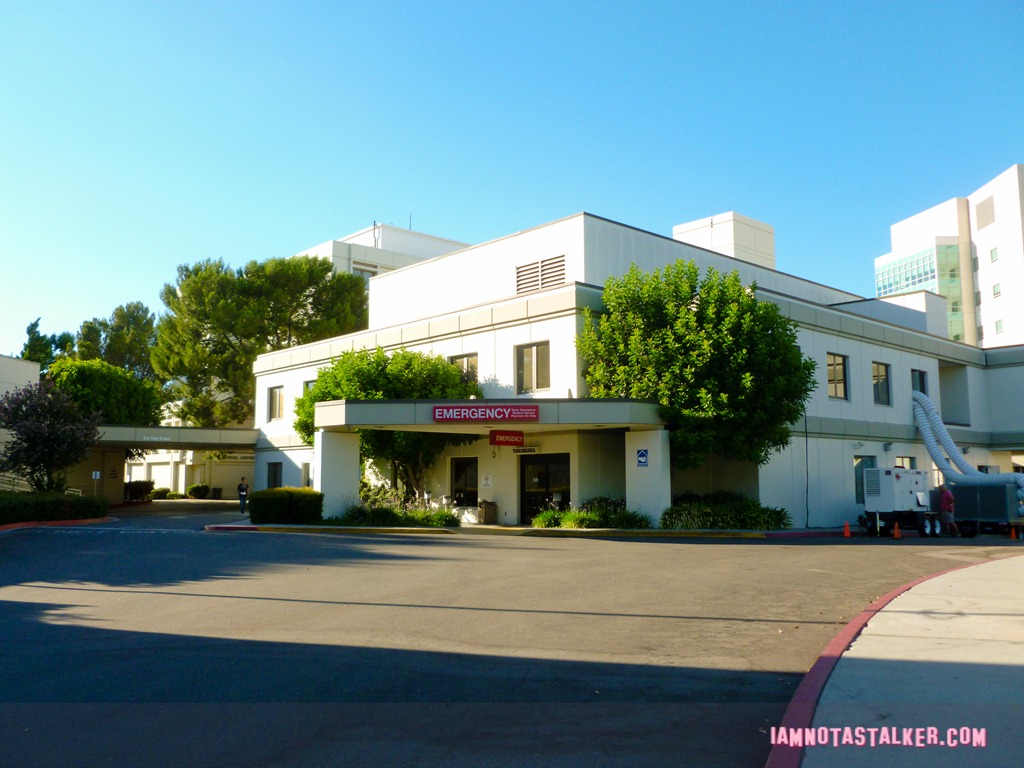Parks and Rec - Saint Joseph's-1050255