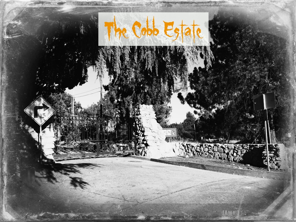 Cobb Estate Phantasm (7 of 15)