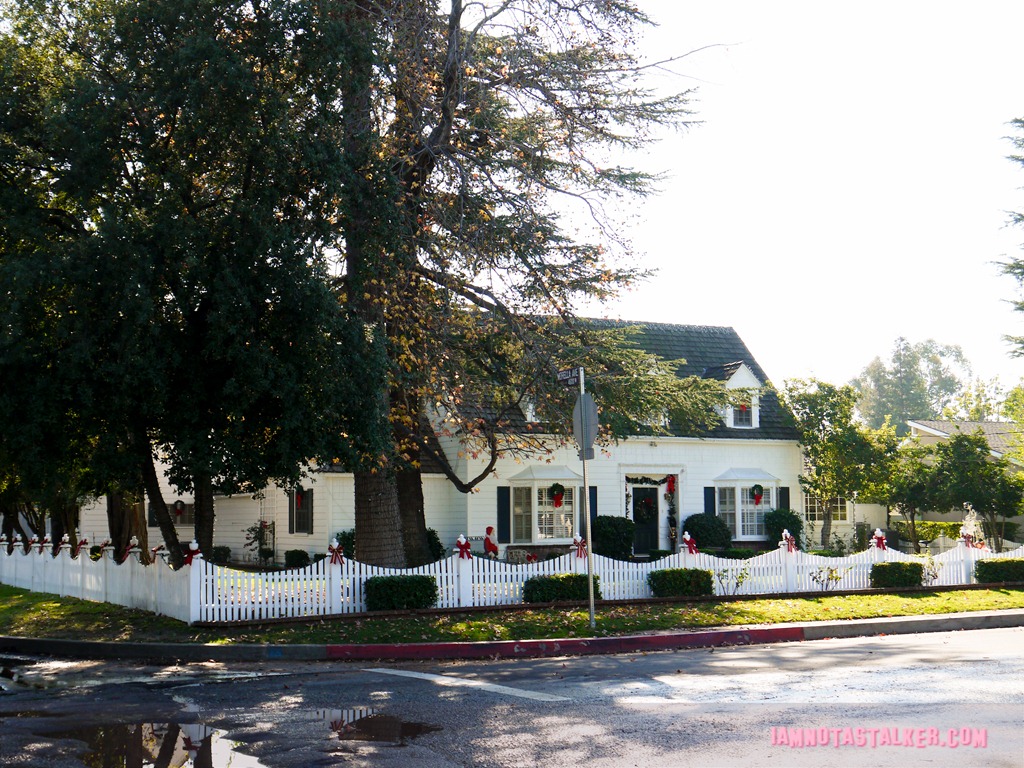 Jerry's House - Parks and Recreation (5 of 12)