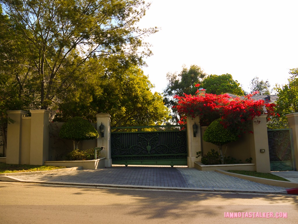 License to Drive Party House (10 of 12)