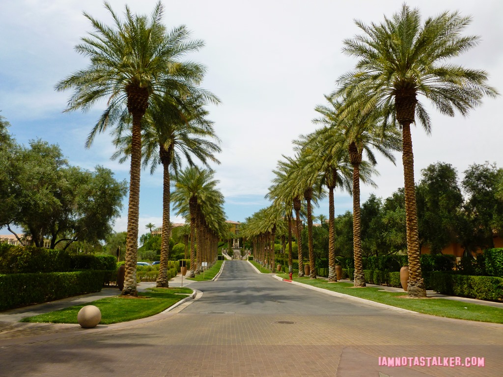 Westin Lake Las Vegas from America's Sweethearts-57