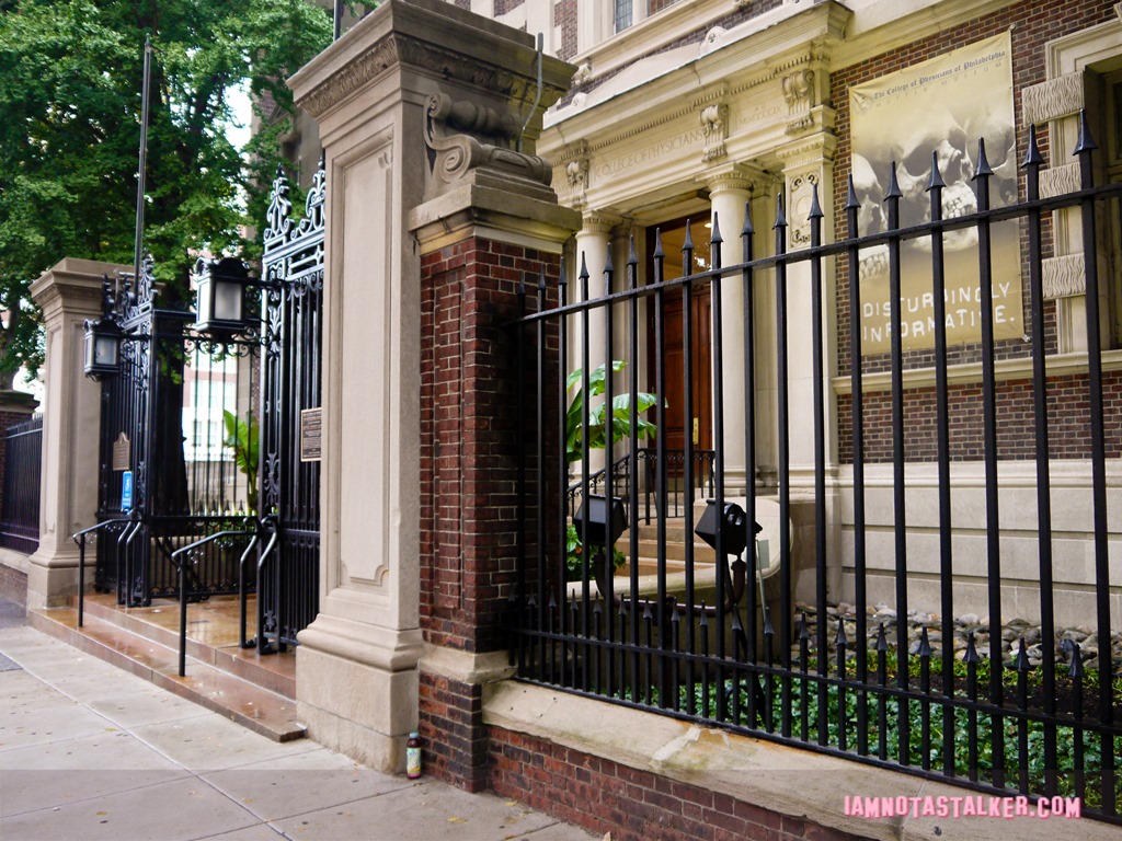 The Mutter Museum-1180353