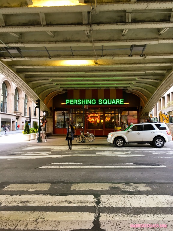 Pershing Square from Friends with Benefits-2822