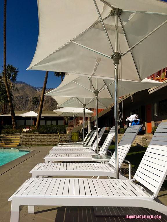 Skylark Hotel from Palm Swings-6526