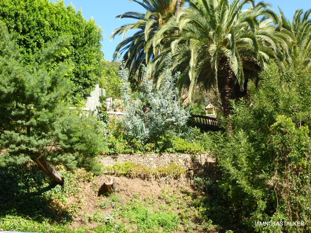 P1010260