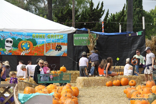 Mr-Bones-Pumpkin-Patch-4
