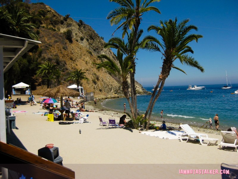 Catalina Island (1 of 1)