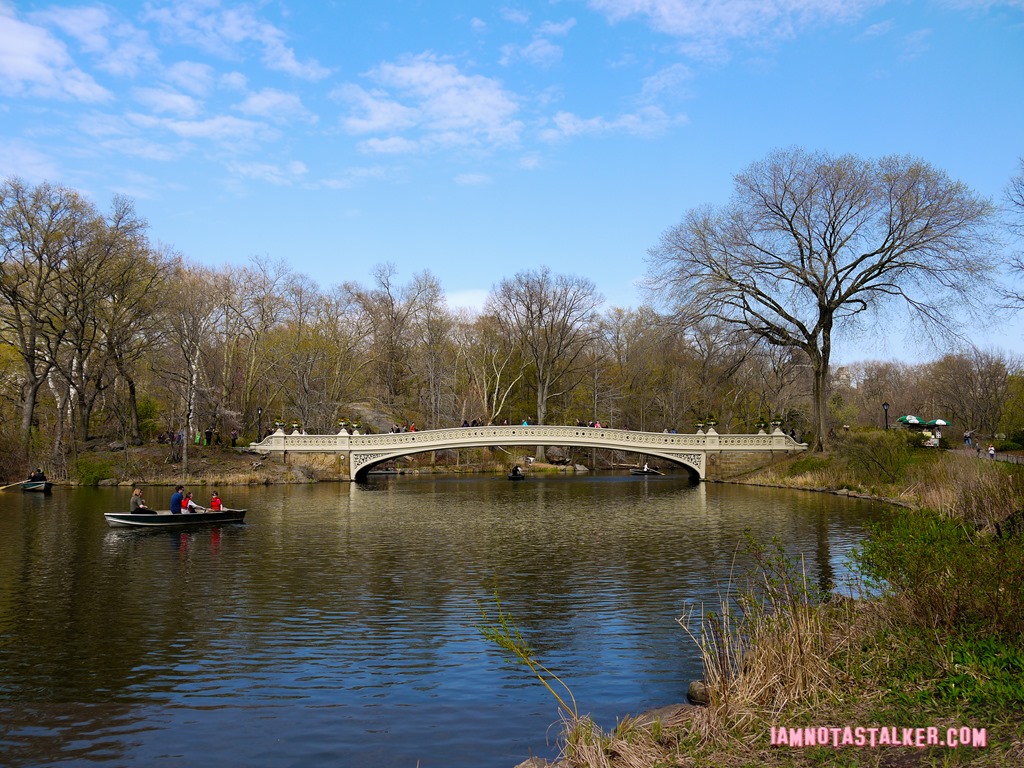 Bow Bridge from Glee-1140152
