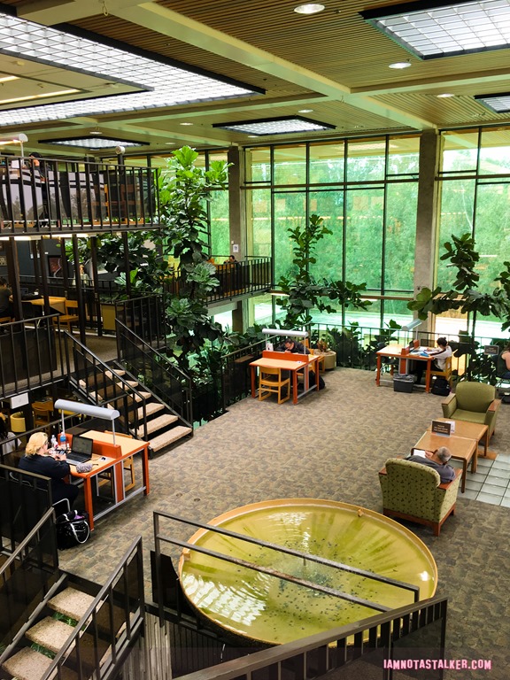 Huntington Beach Central Library from Rosewood-9240