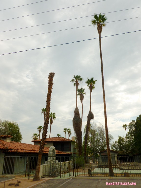 The Orchid Tree Inn Palm Springs (16 of 49)